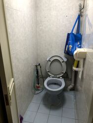 Holland Avenue (Queenstown),  #490983841